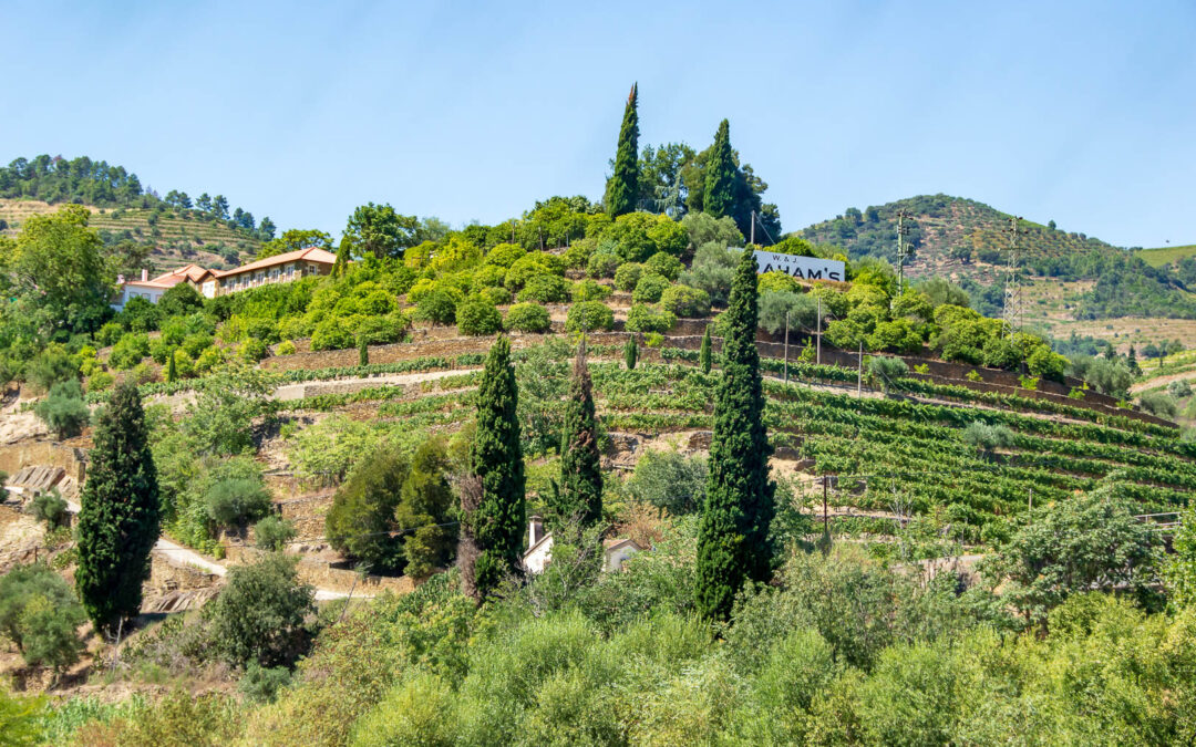 Balade sur le Douro